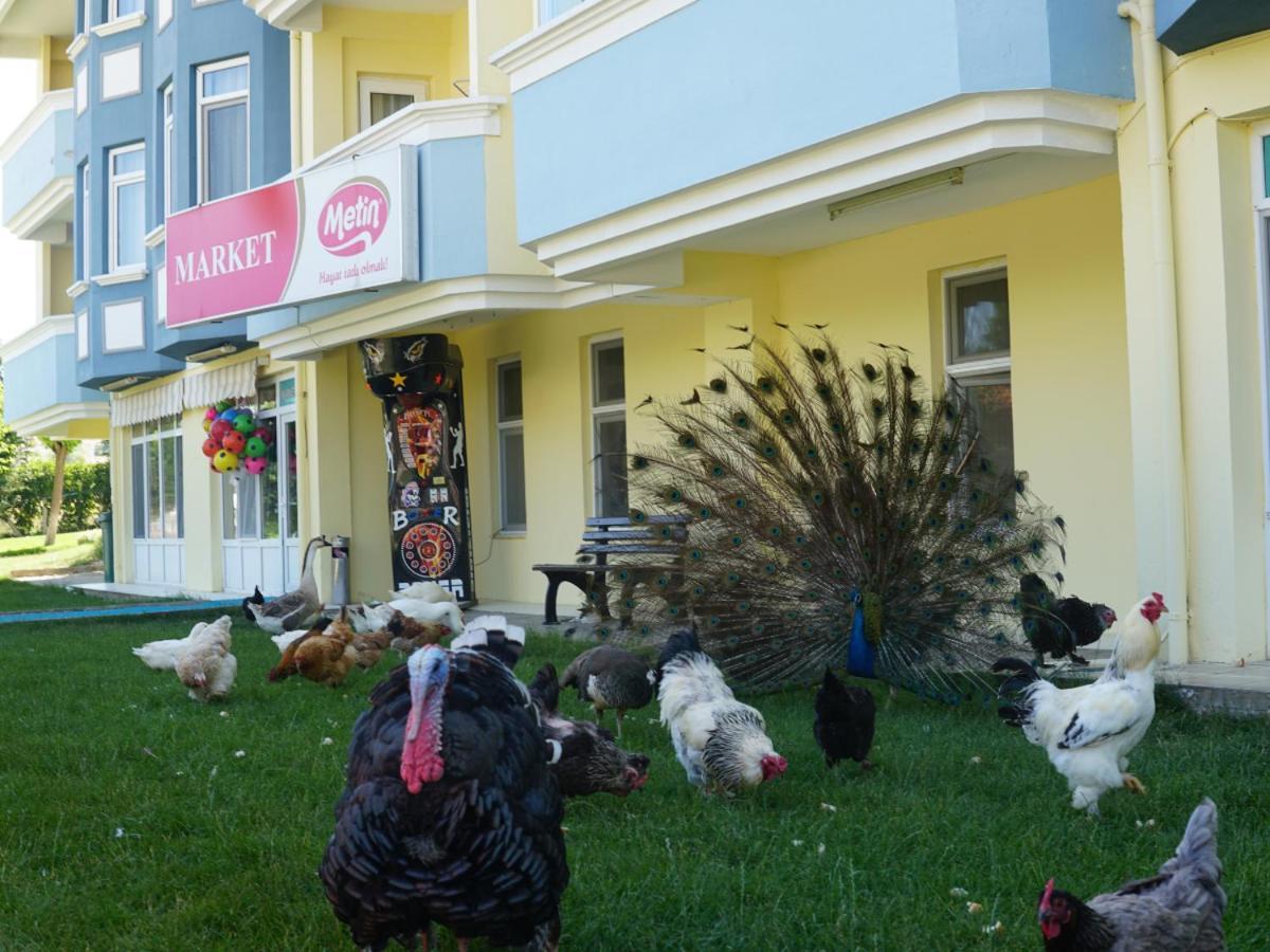 Basaranlar Thermal Otel Gazligol Εξωτερικό φωτογραφία