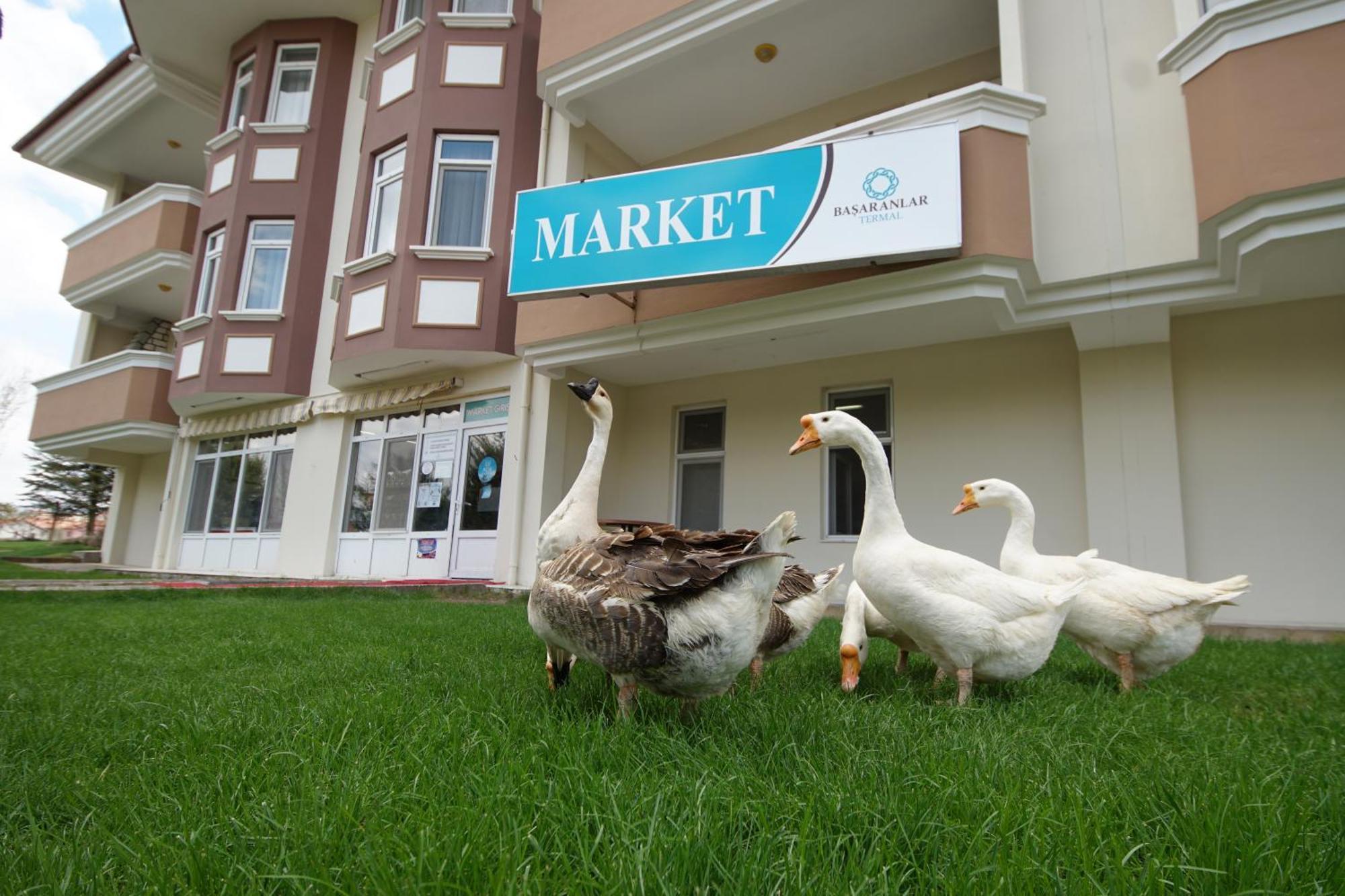Basaranlar Thermal Otel Gazligol Εξωτερικό φωτογραφία
