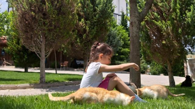 Basaranlar Thermal Otel Gazligol Εξωτερικό φωτογραφία